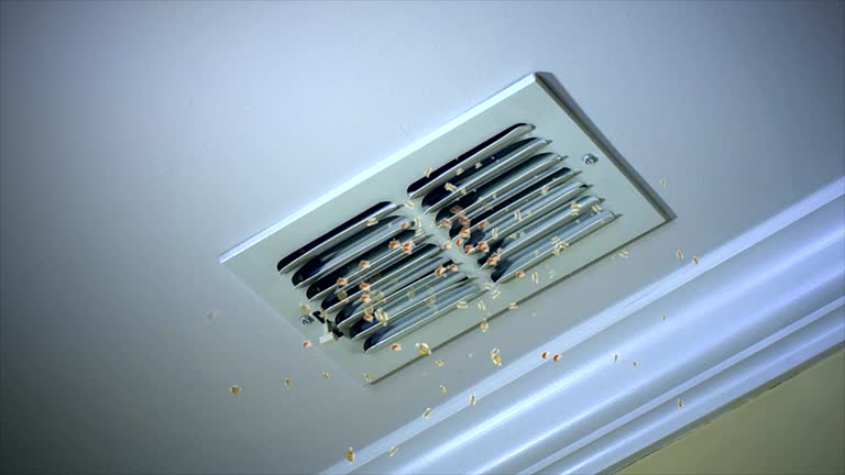 Best Local Air Duct Cleaning Services  in Richlands, VA